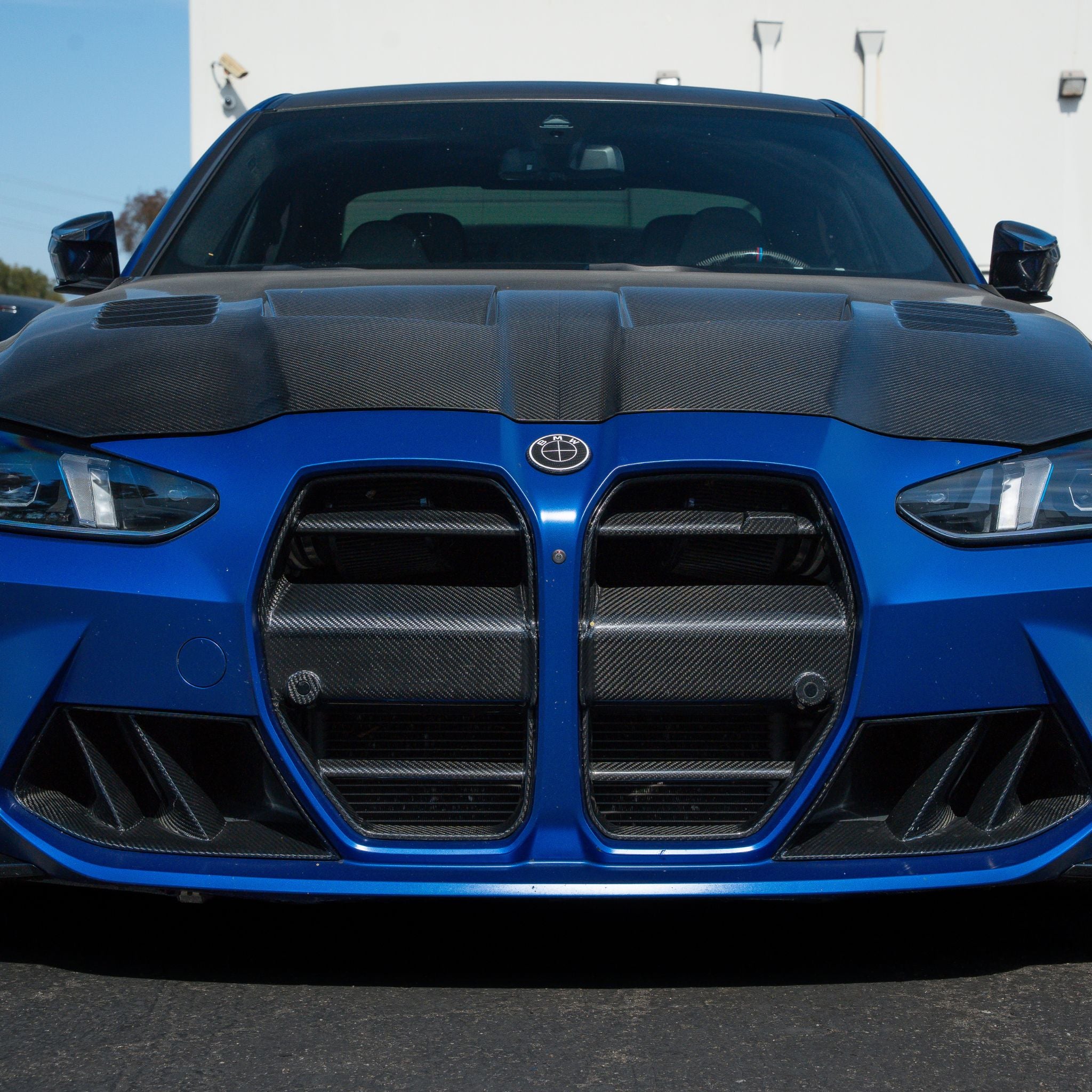 G8X M3 | M4 Dry Carbon DTM Grill (with removable mesh)