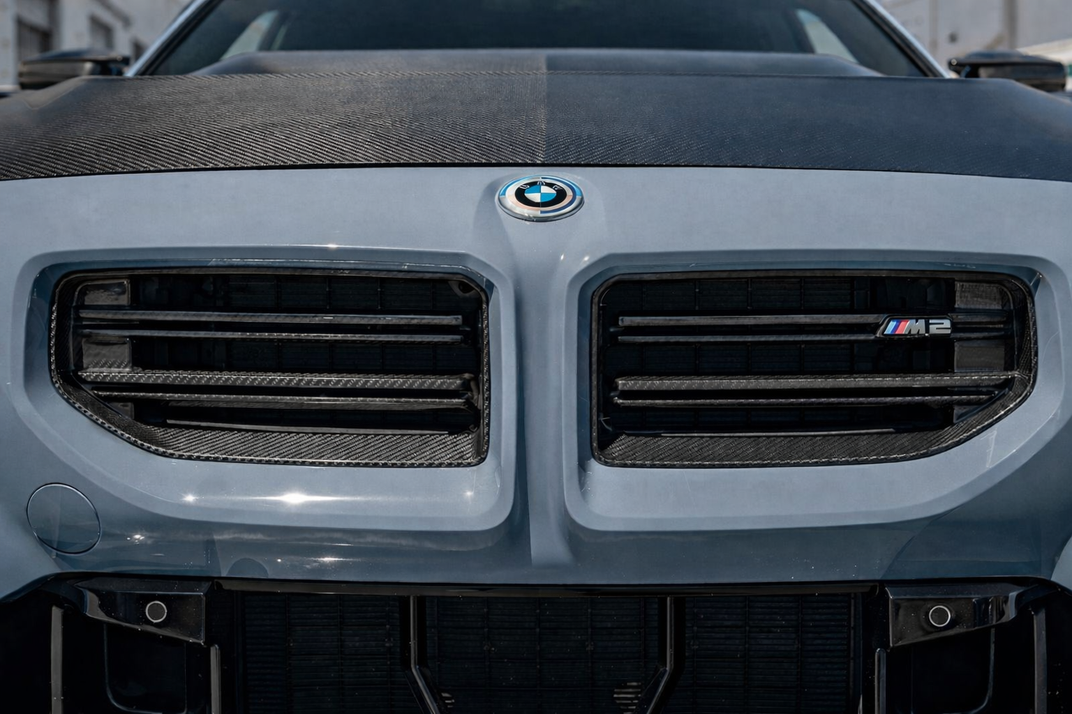 OEM G87 M2 Carbon One-Piece Front Grill