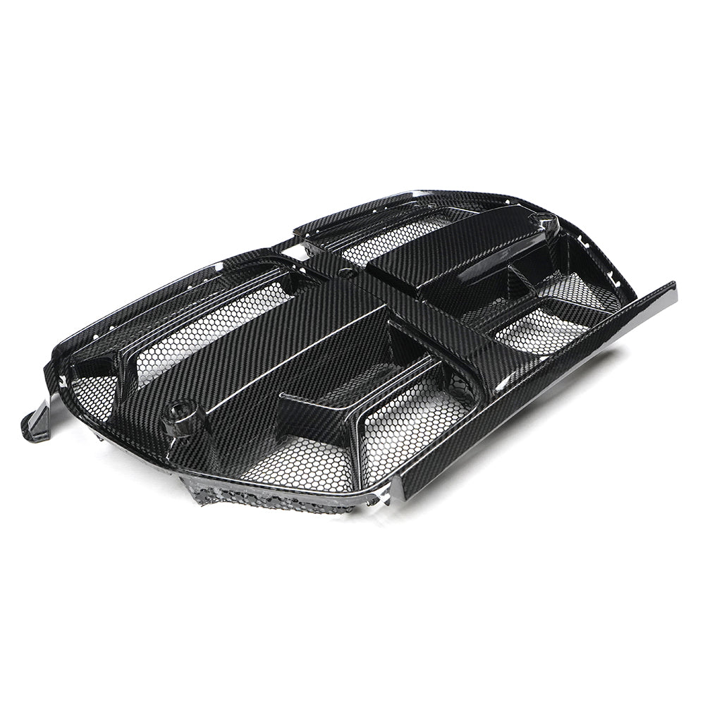 G8X CSL Carbon Grille – With Mesh