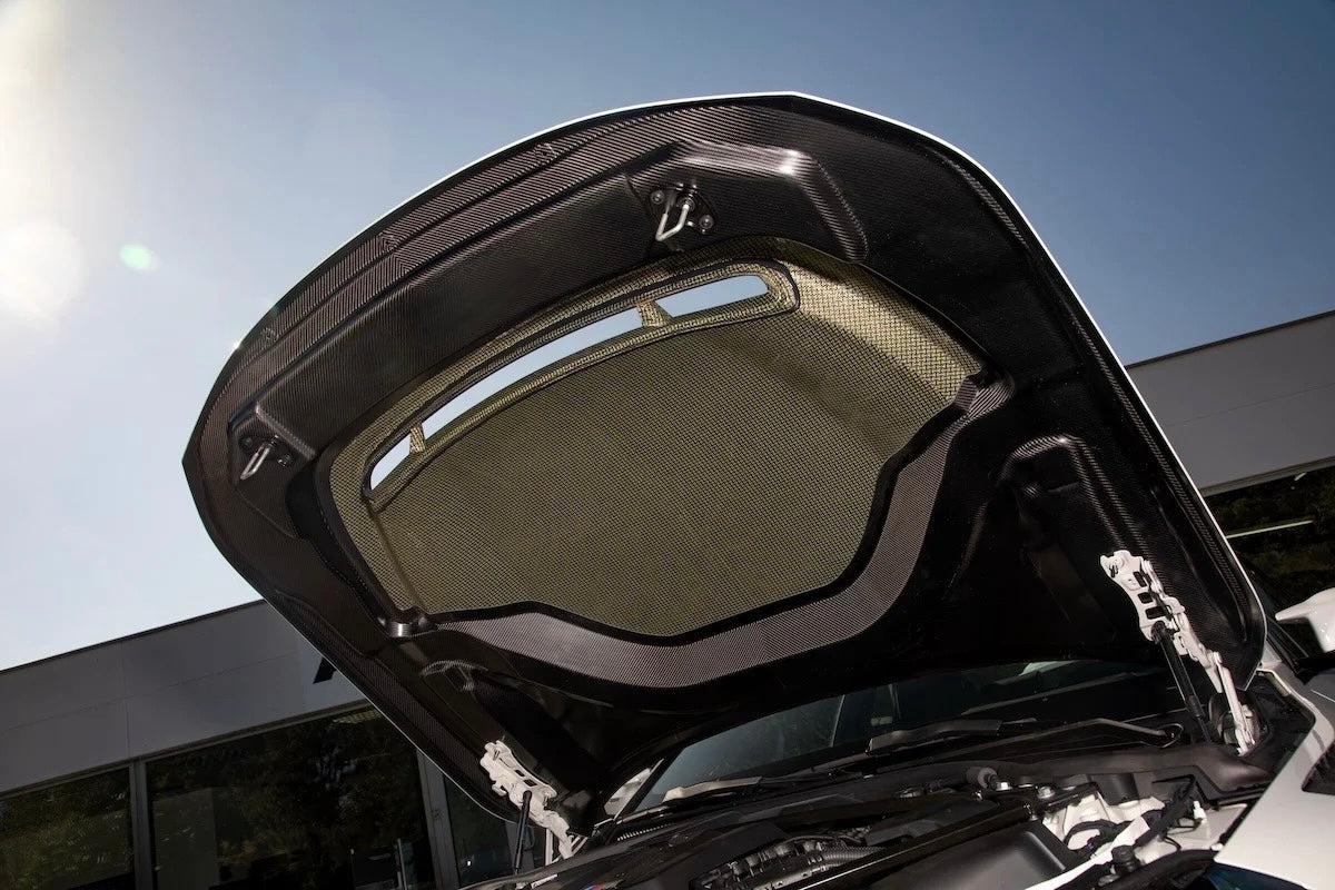 G87 M2 Dry Carbon Hood