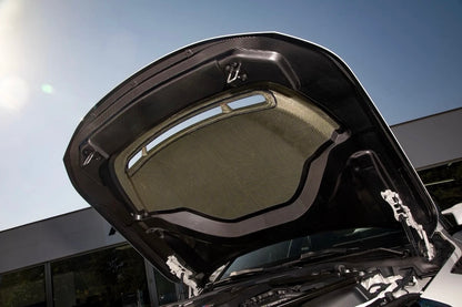 G87 M2 Dry Carbon Hood