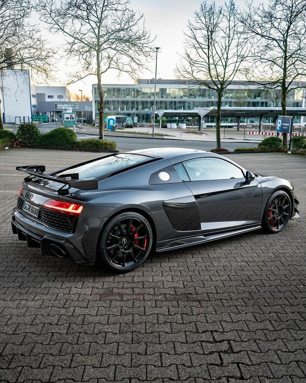 Audi R8 Carbon Fiber Side Skirts (2020-2023)