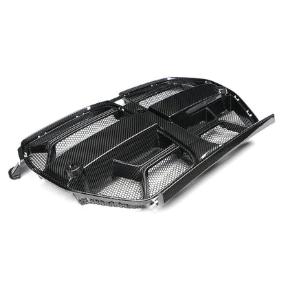 LAB CSL grille mesh and dry carbon detail